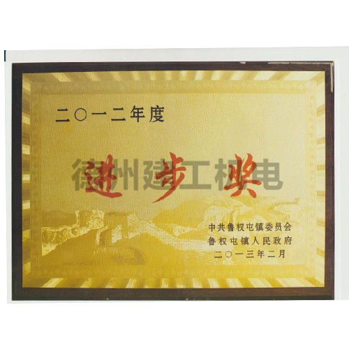 进步奖